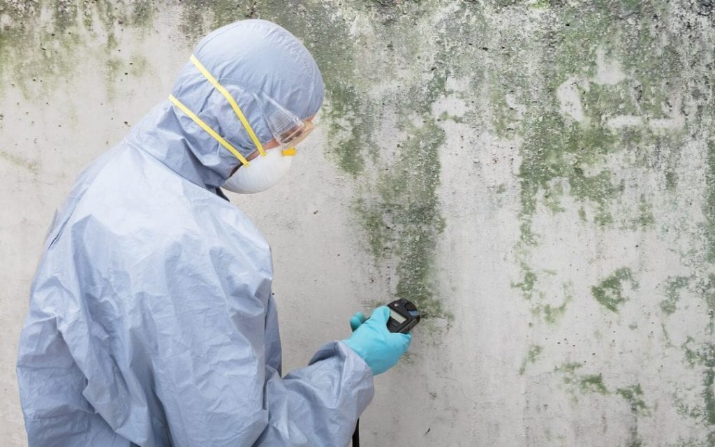 Mold Remediation Service